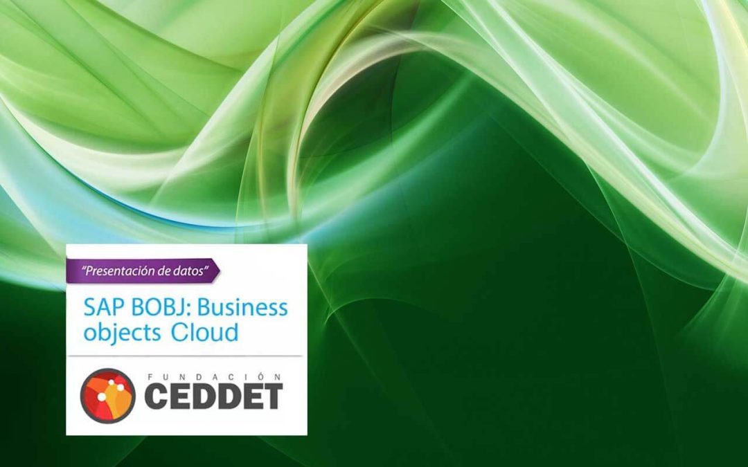 Fundación CEDDET confía en altim® su sistema de inteligencia de negocio