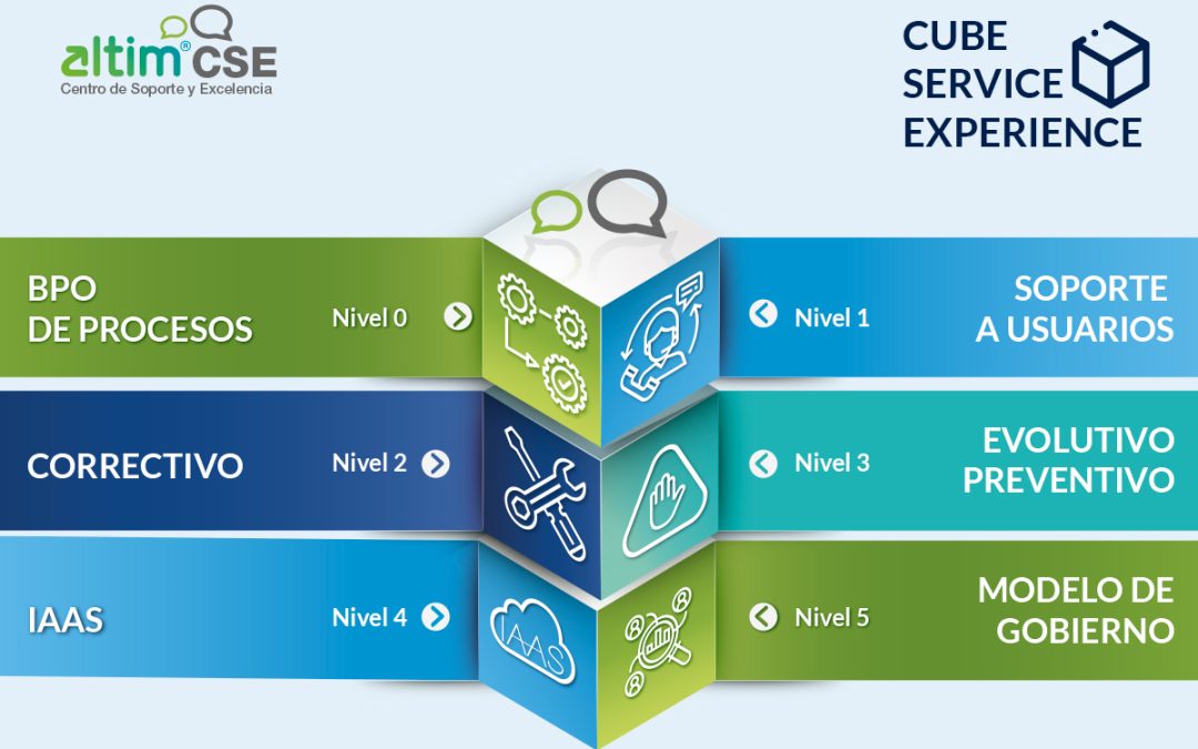 Nivel 0 – BPO de procesos SAP – Cube Sap Experience